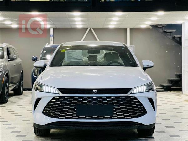بي واي دي Qin Plus 2025 للبيع في العراق - النجف